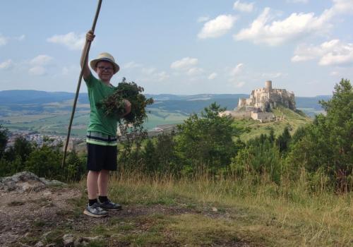 Spišský hrad