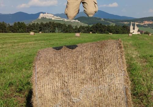 Vilík-Spišský hrad a Spišská Kapitula