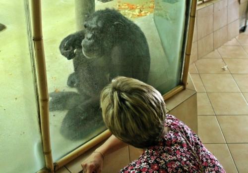 ZOO Liberec